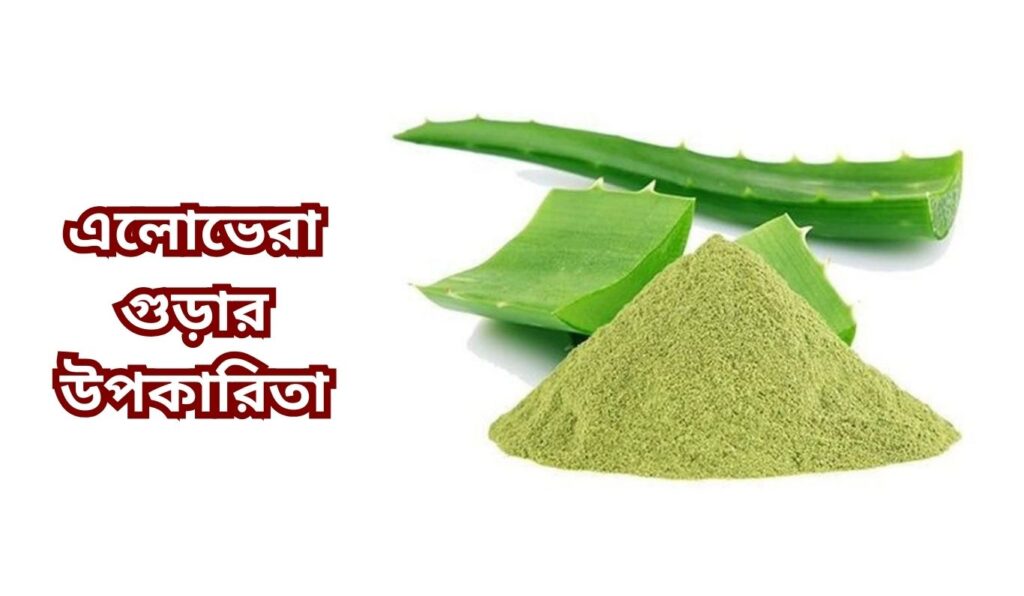 এলোভেরা গুড়ার উপকারিতা