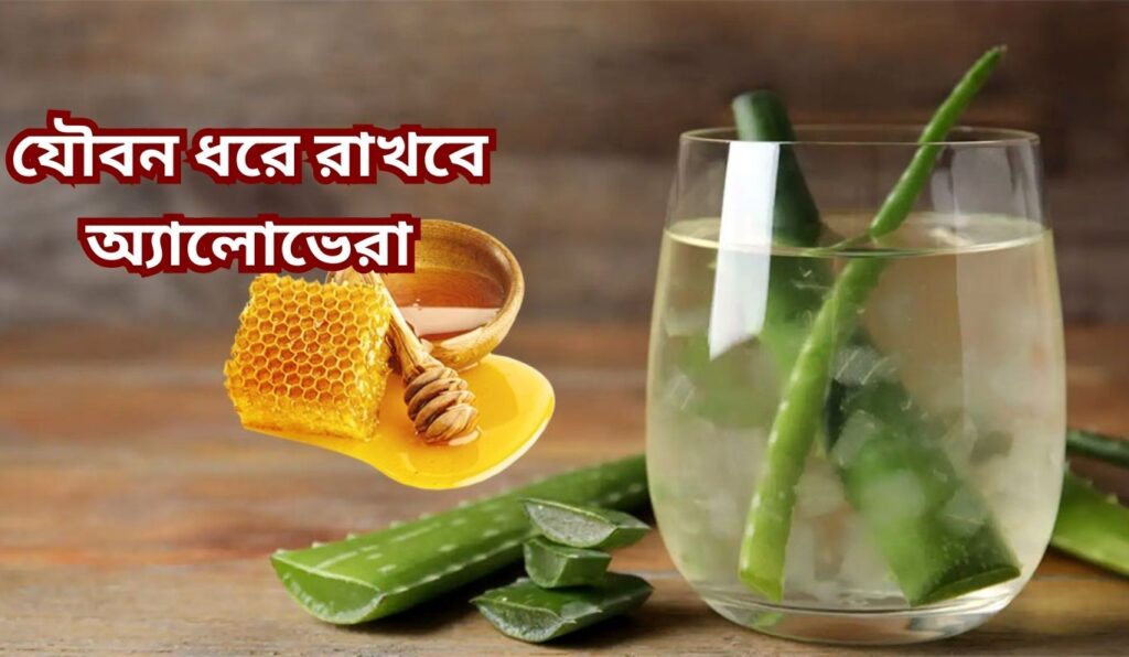যৌবন ধরে রাখবে অ্যালোভেরা