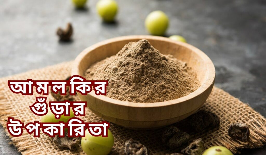 আমলকির গুঁড়ার উপকারিতা