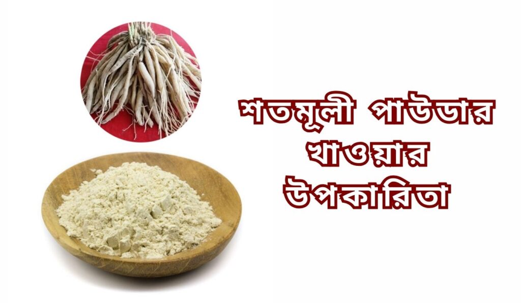 শতমূলী পাউডার খাওয়ার উপকারিতা