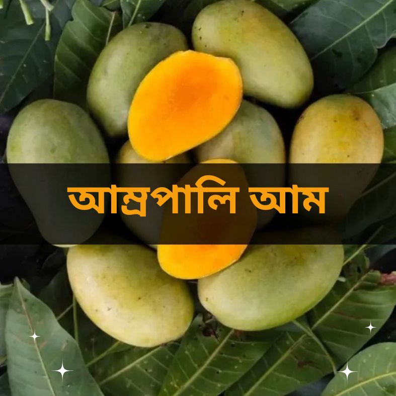 Amrapali Mango (আম্রপালি আম) ২০ কেজি Price in Bangladesh