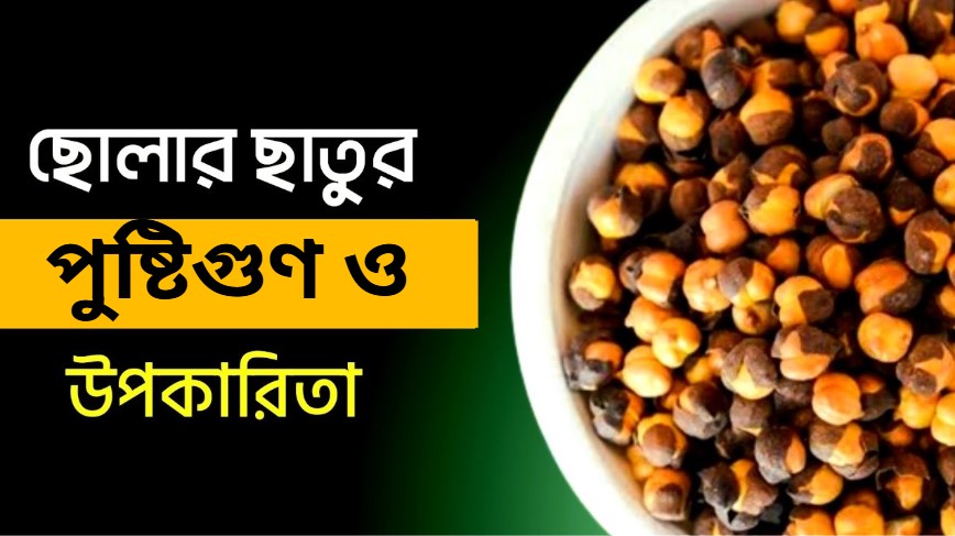 ছোলার ছাতুর পুষ্টিগুণ