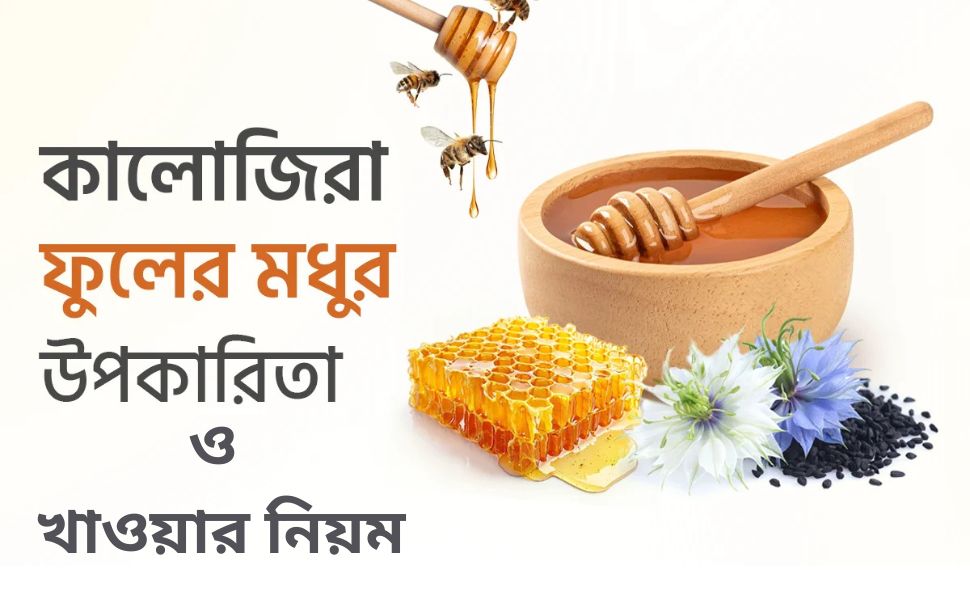 যৌ*ন শক্তি বাড়াতে কালোজিরা ও মধু
