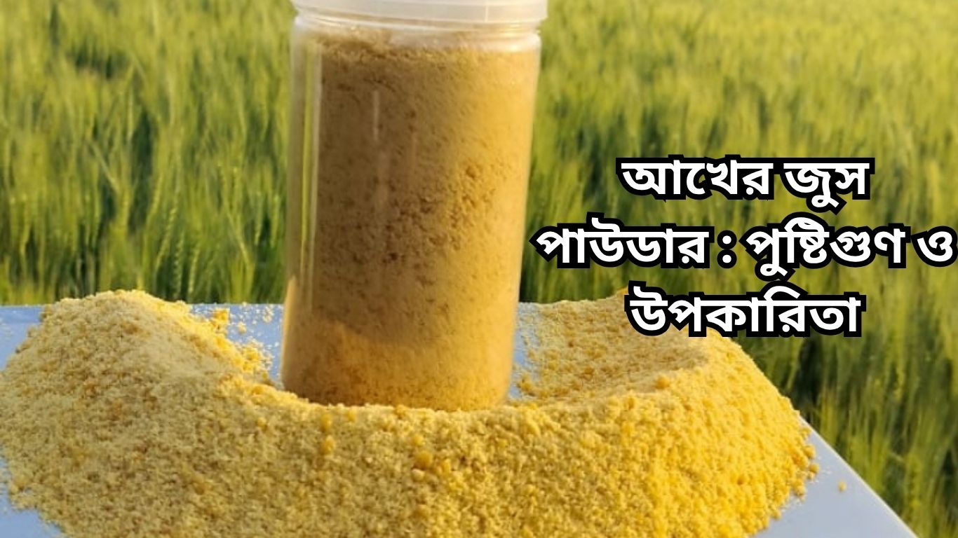 আখের জুস পাউডার (হাতে তৈরী): পুষ্টিগুণ ও উপকারিতা | ARPHI SHOP