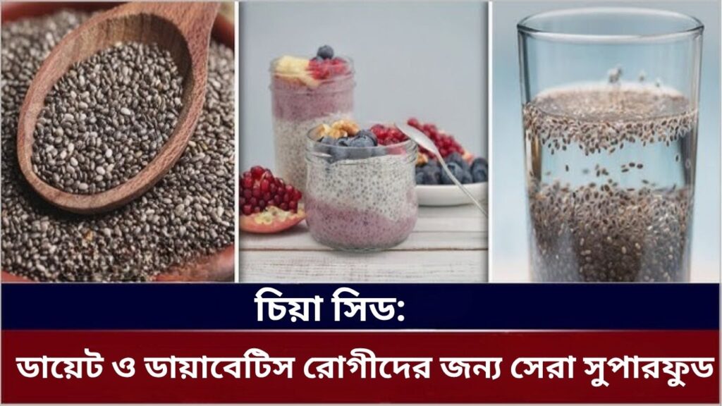 চিয়া সিড