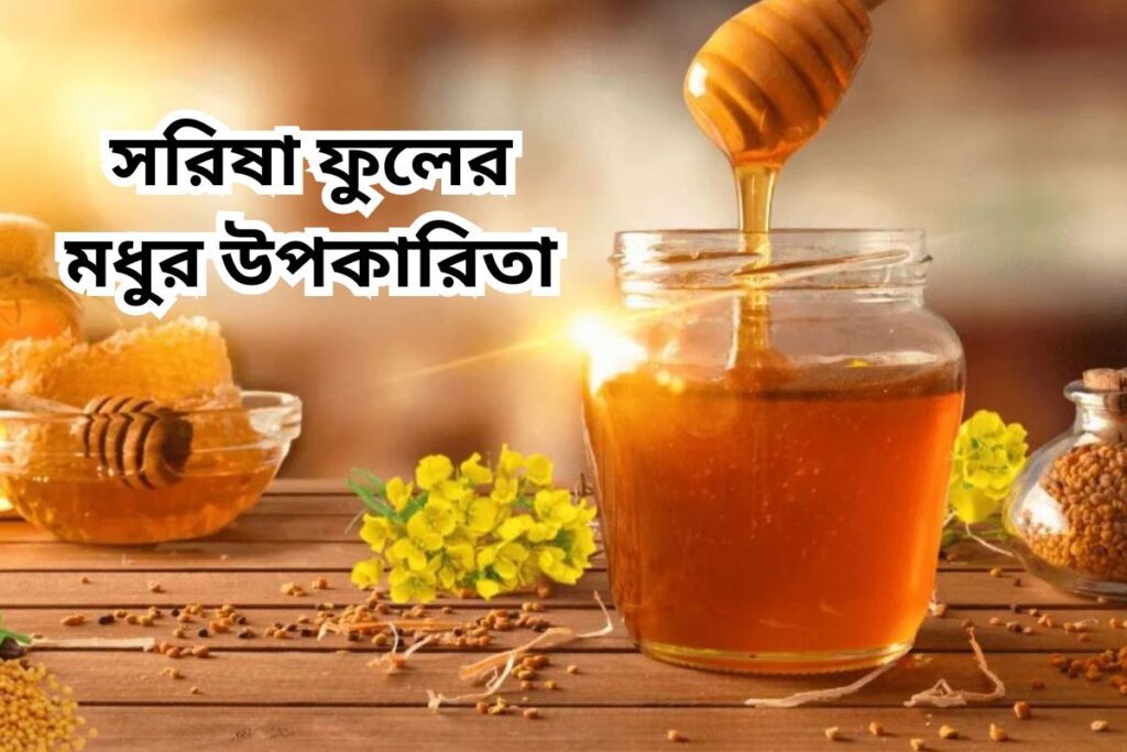 সরিষা ফুলের মধুর উপকারিতা
