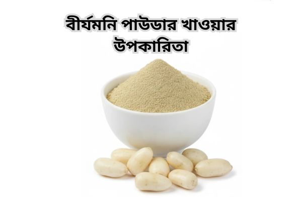 বীর্যমনি পাউডার খাওয়ার উপকারিতা